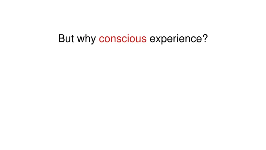 but why conscious experience