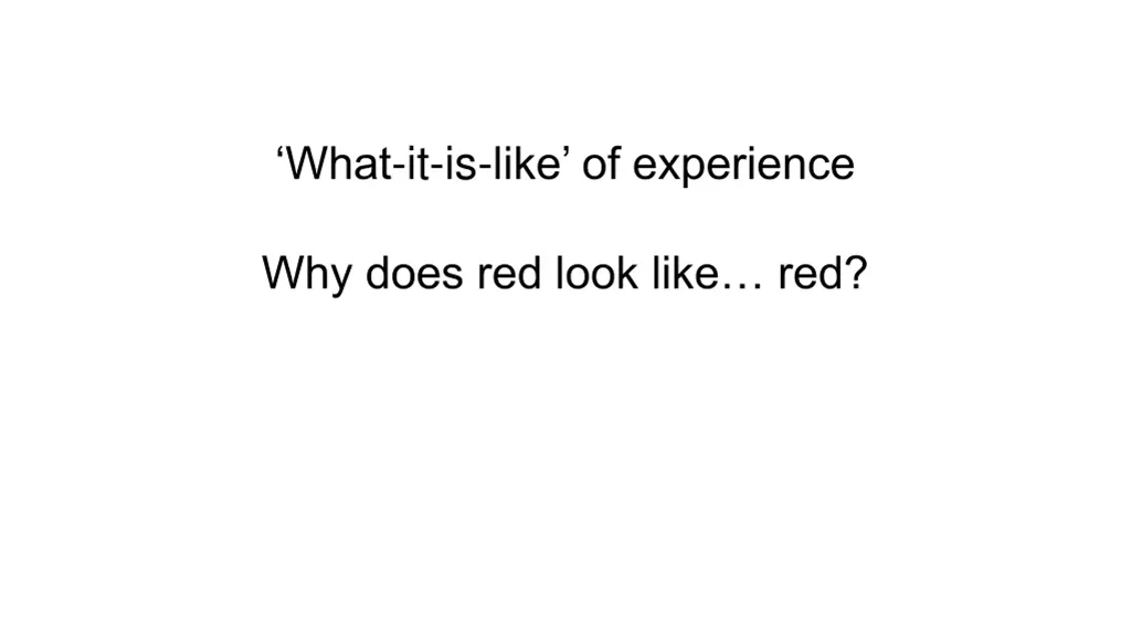 what it is like of experience 1