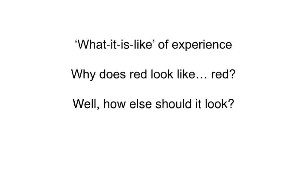what it is like of experience 2
