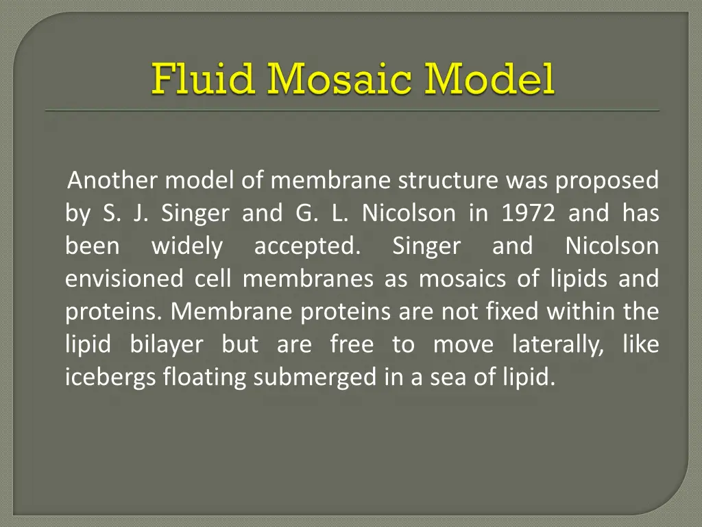 another model of membrane structure was proposed