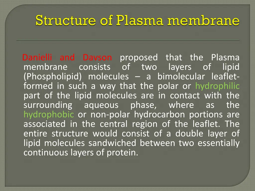 danielli and davson proposed that the plasma