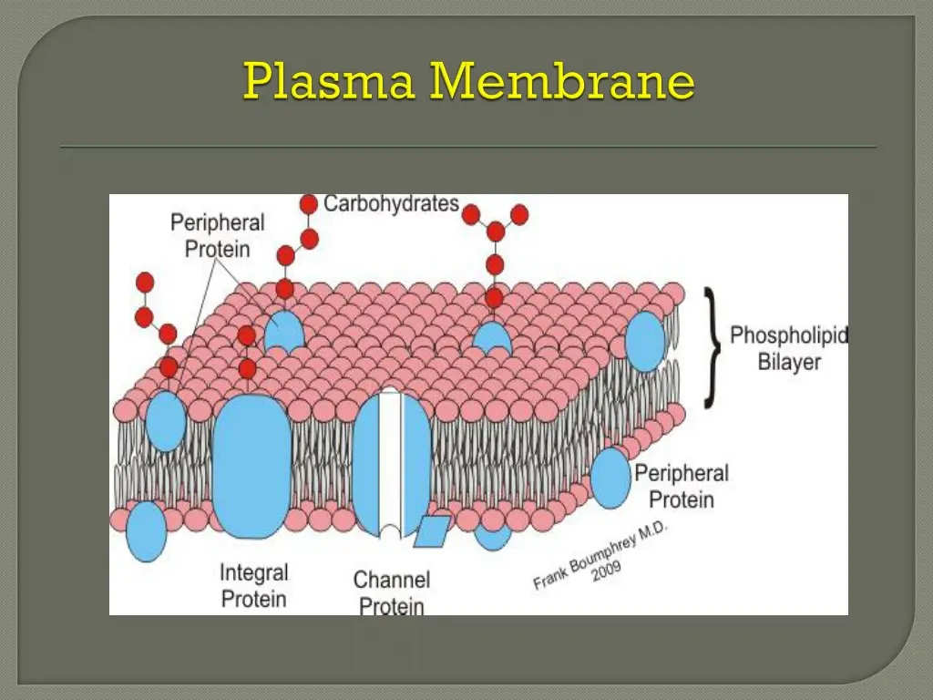 slide11