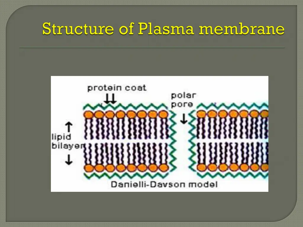 slide15