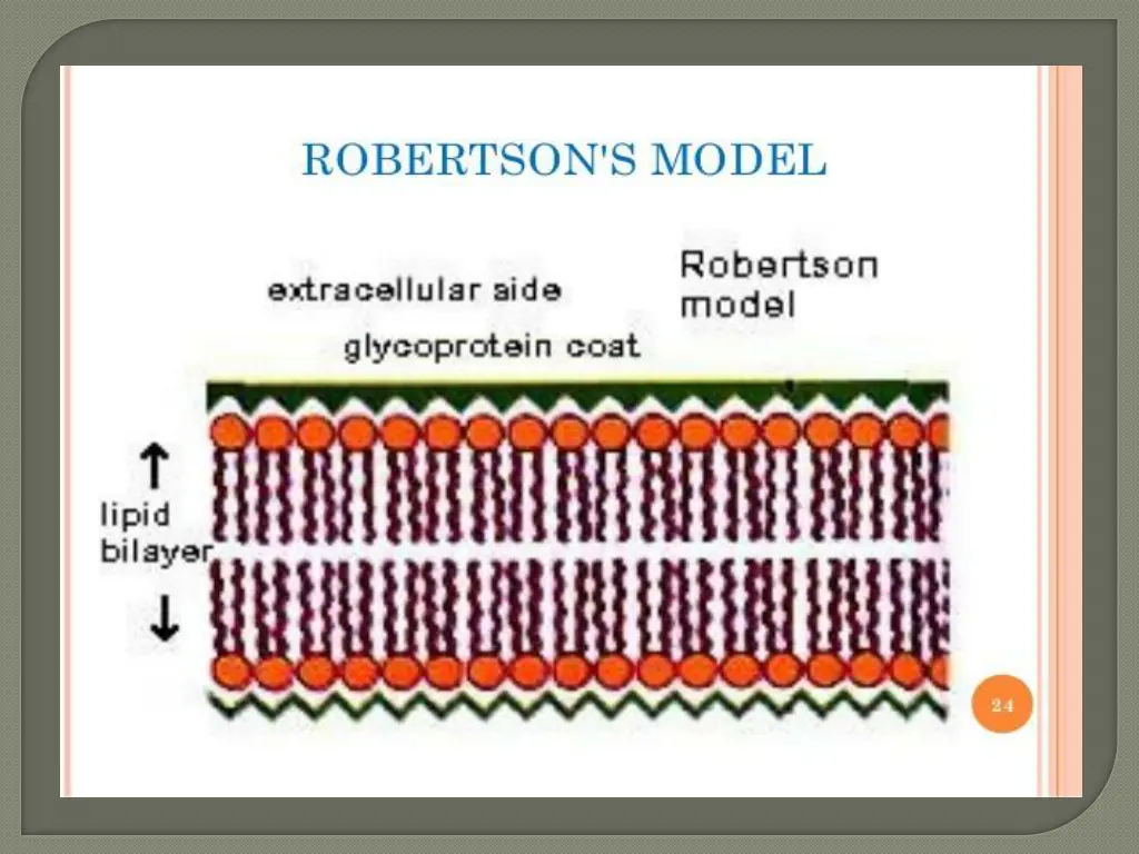 slide19