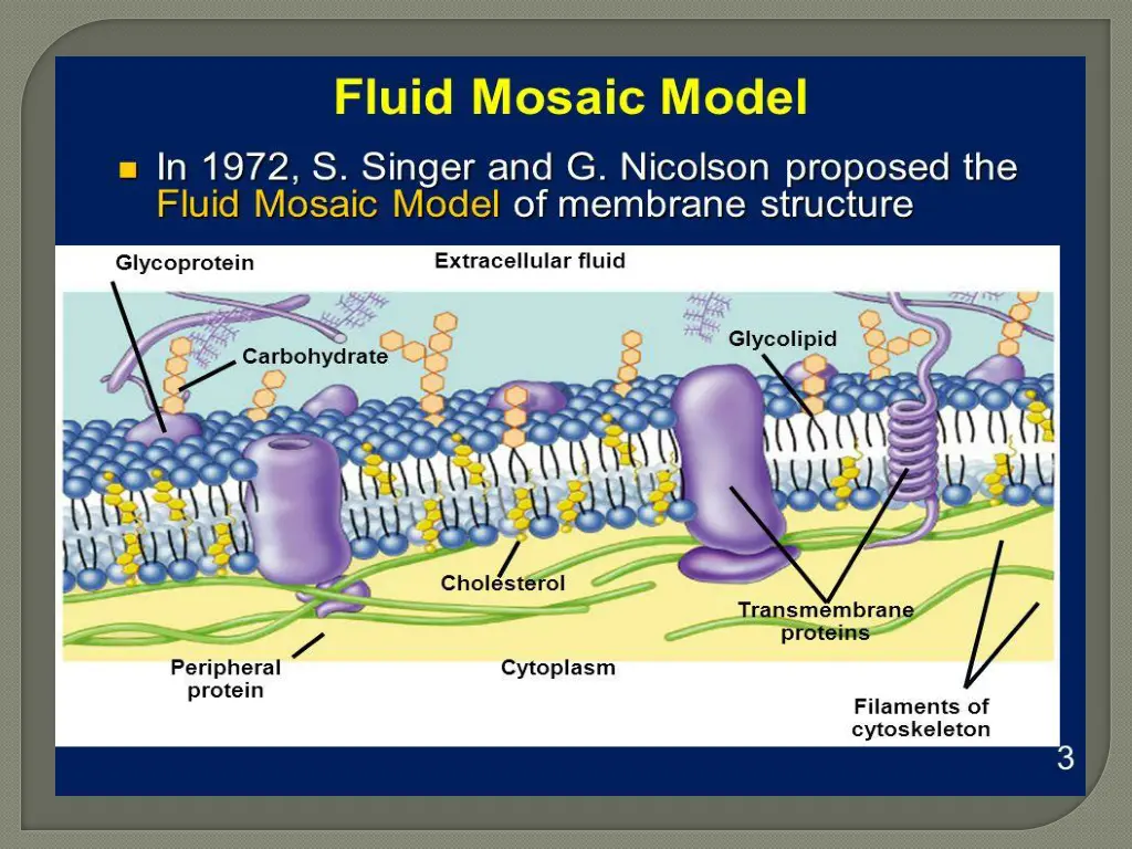 slide22
