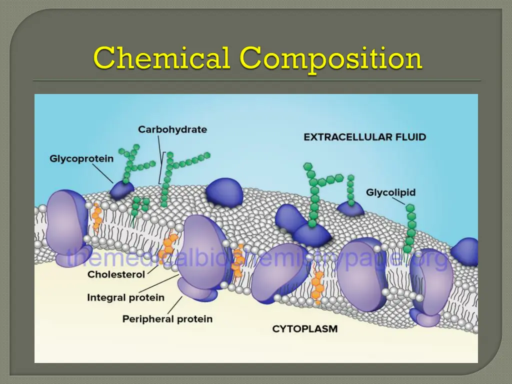 slide6