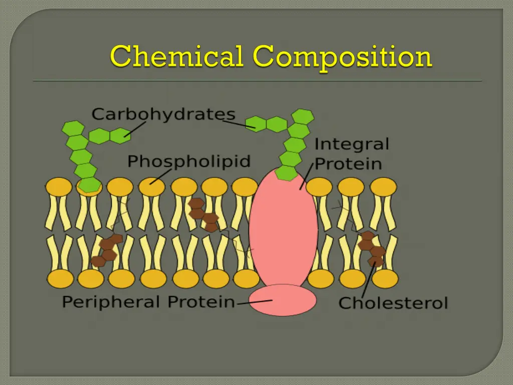 slide7