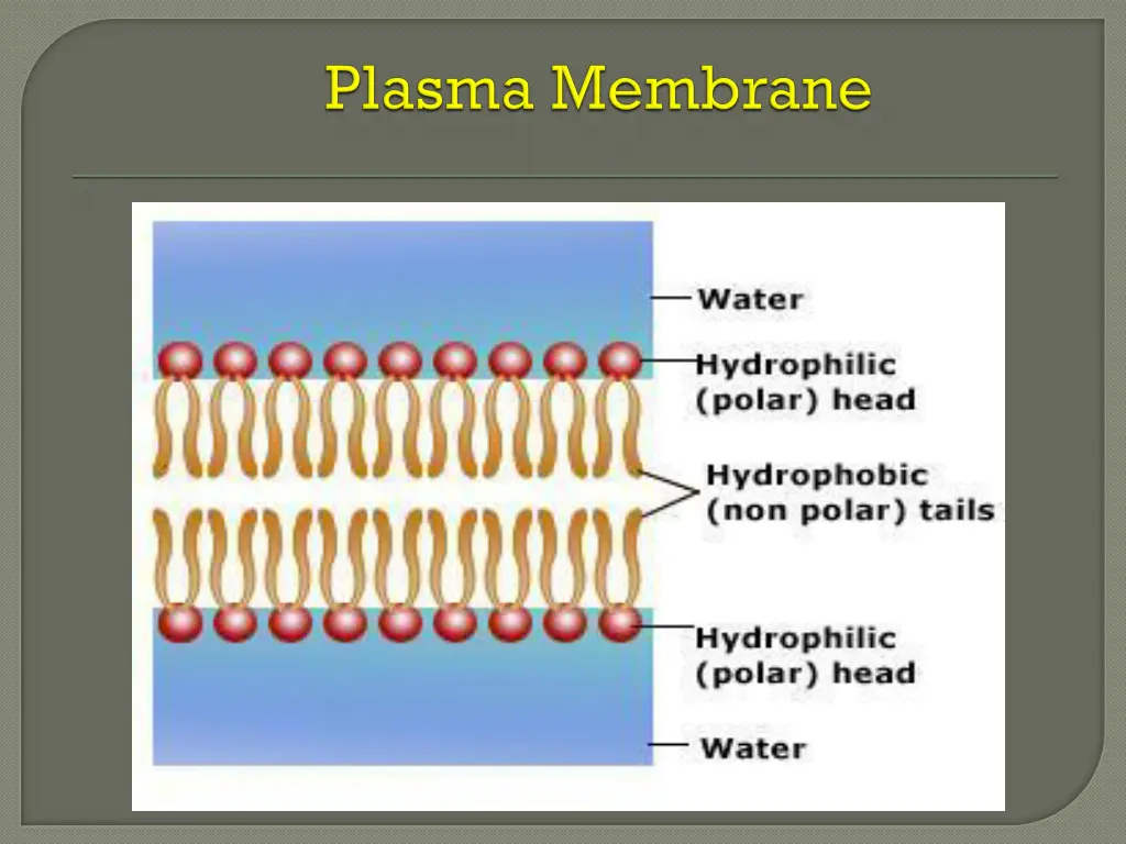 slide9
