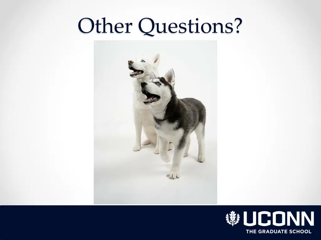 other questions