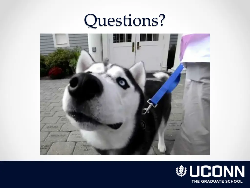 questions 1