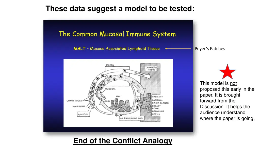 these data suggest a model to be tested