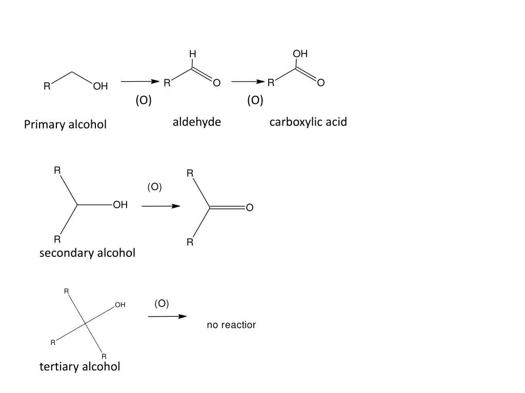 slide17