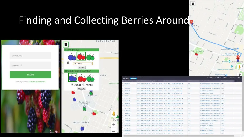 finding and collecting berries around