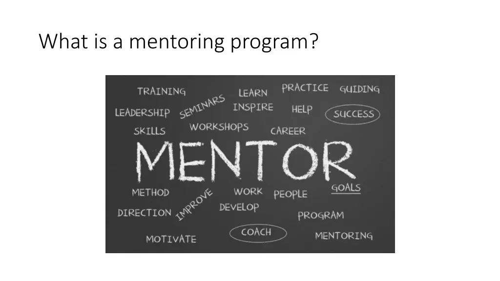 what is a mentoring program