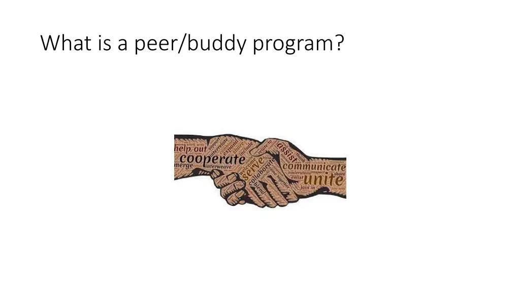 what is a peer buddy program 1