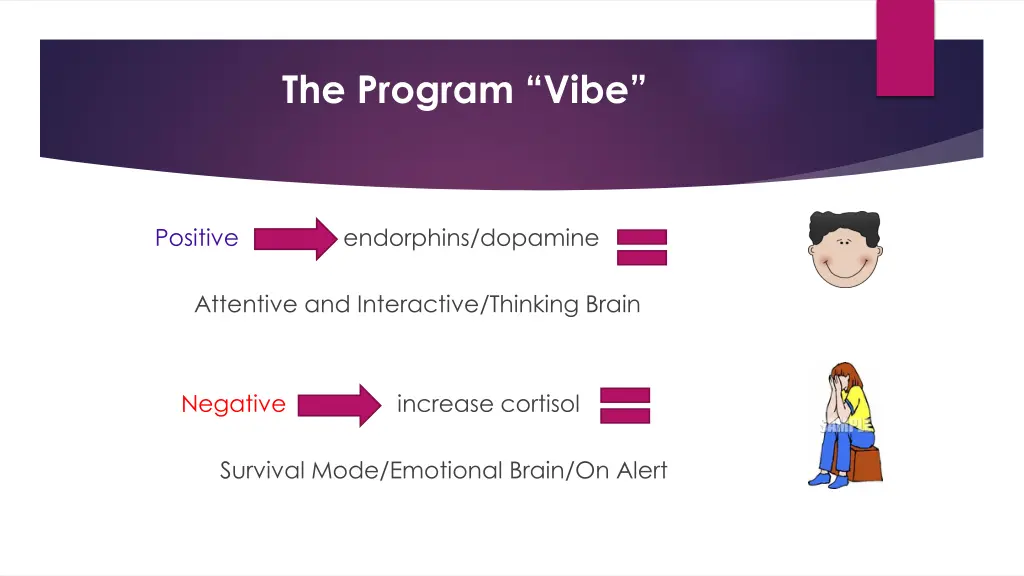 the program vibe
