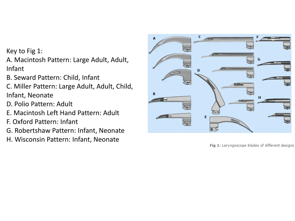 key to fig 1 a macintosh pattern large adult