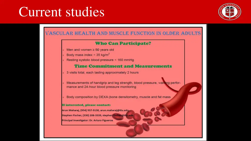 current studies 2