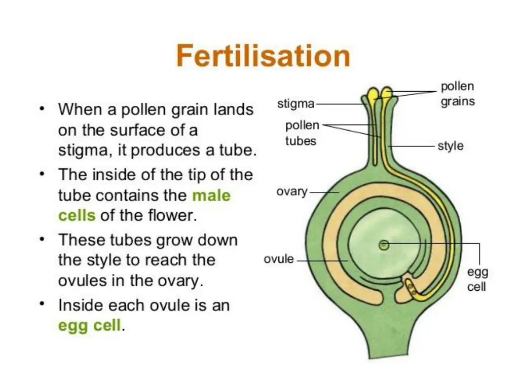 slide6