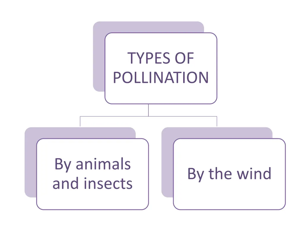 types of pollination