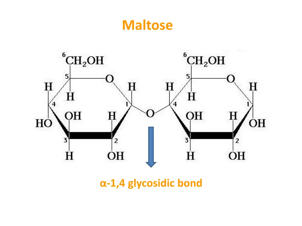 maltose