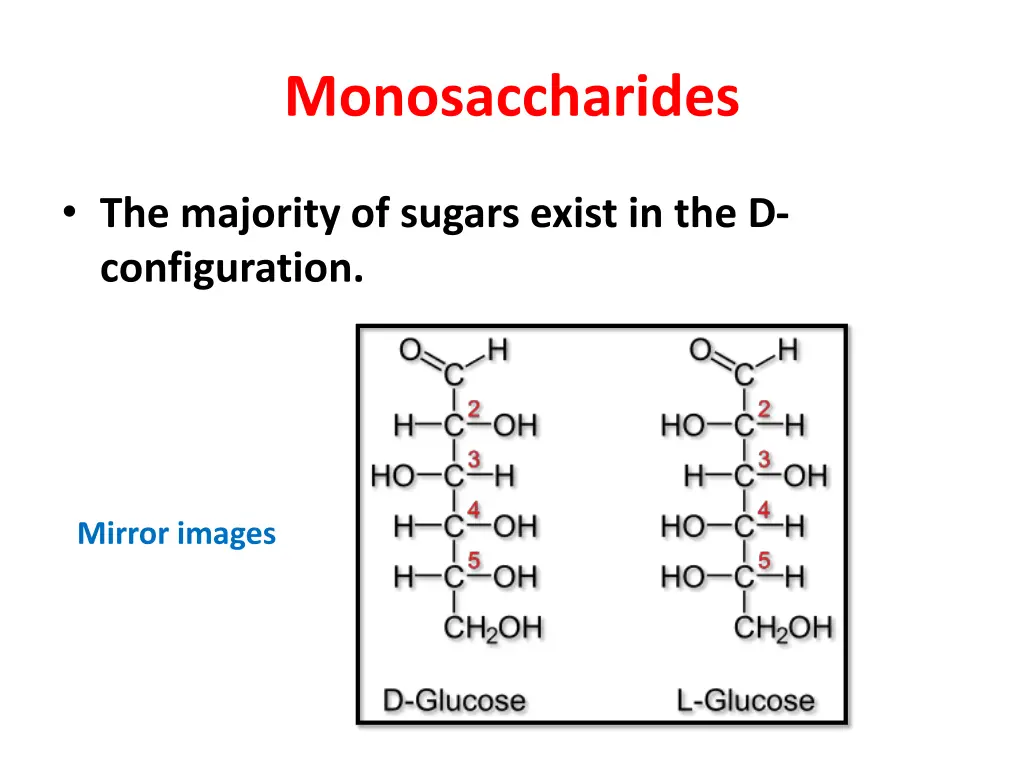 monosaccharides 3