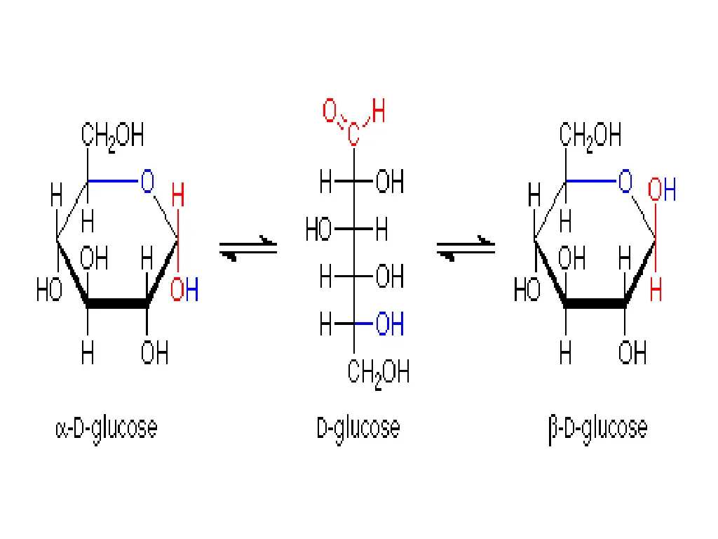 slide22