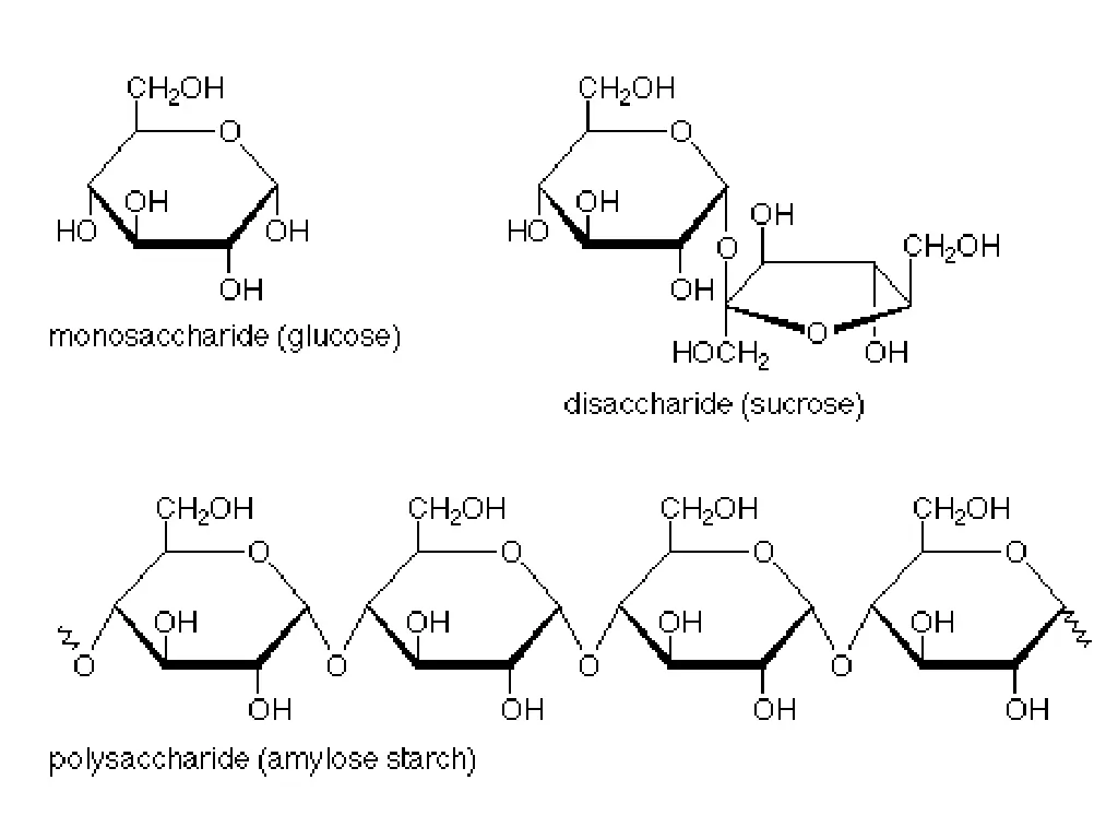 slide7