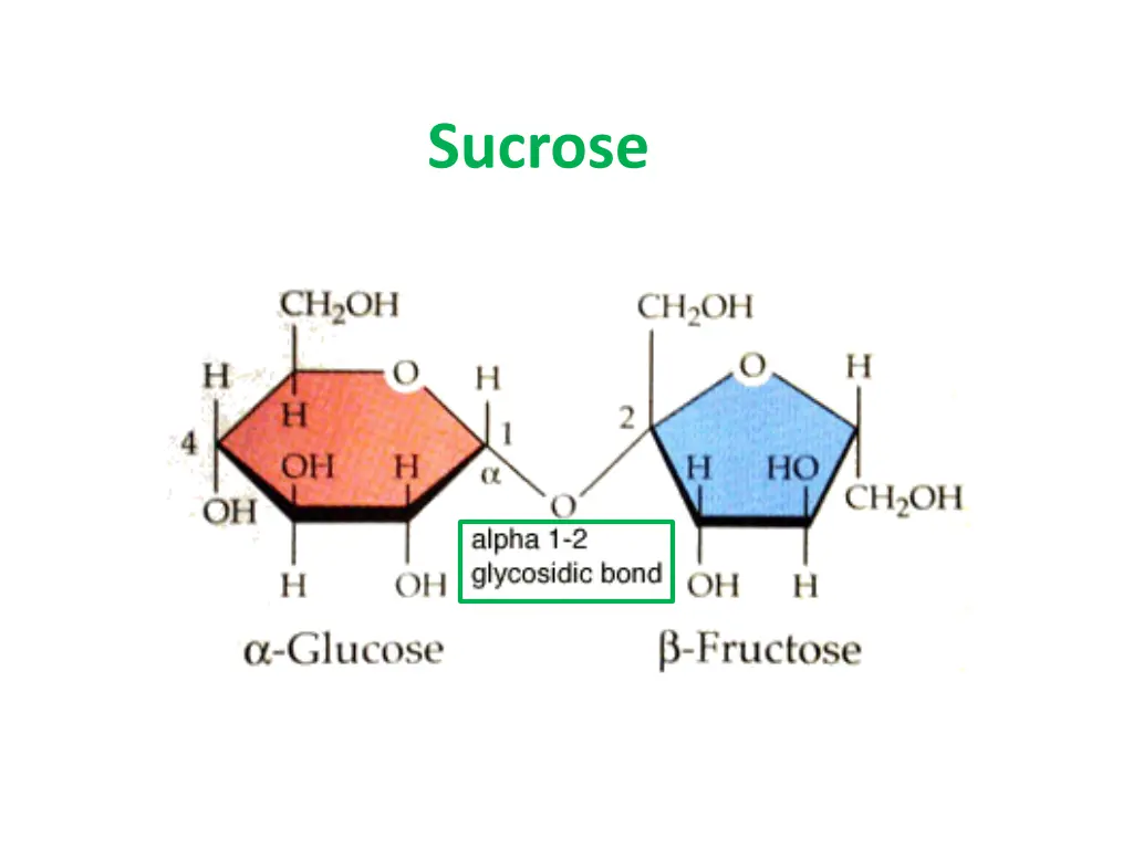 sucrose