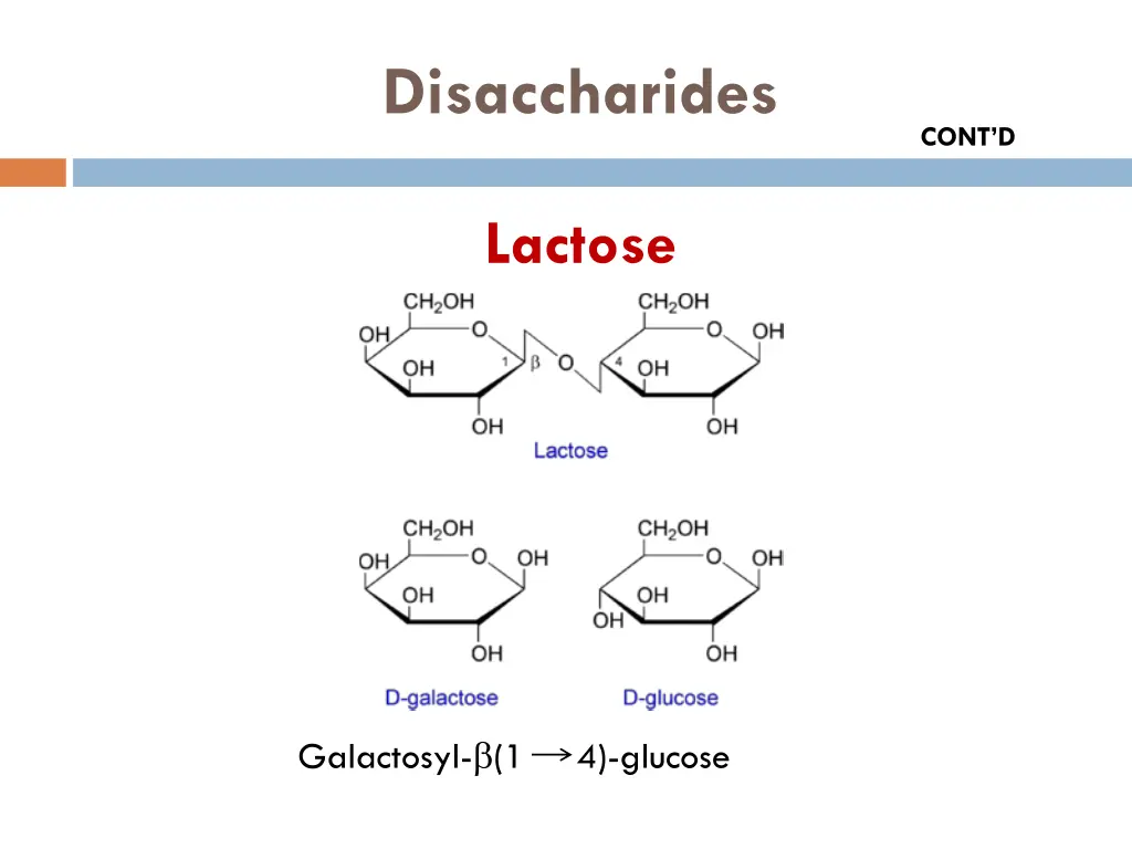 disaccharides 1