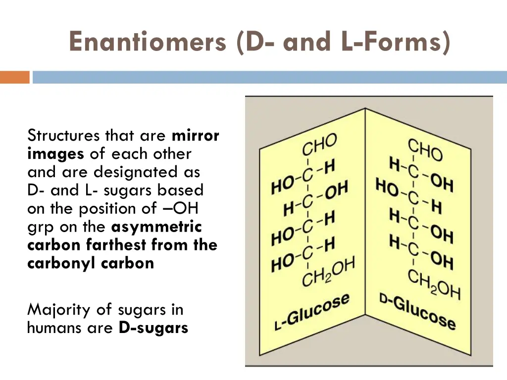 enantiomers d and l forms