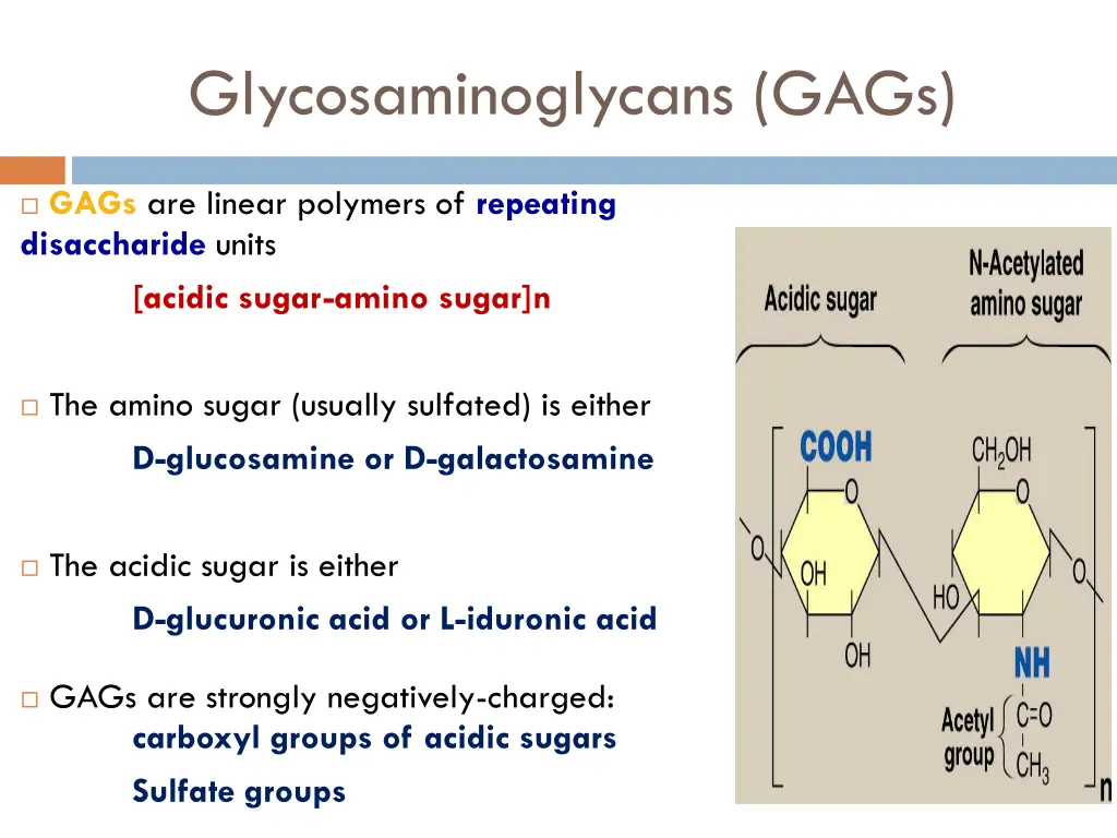 glycosaminoglycans gags 1