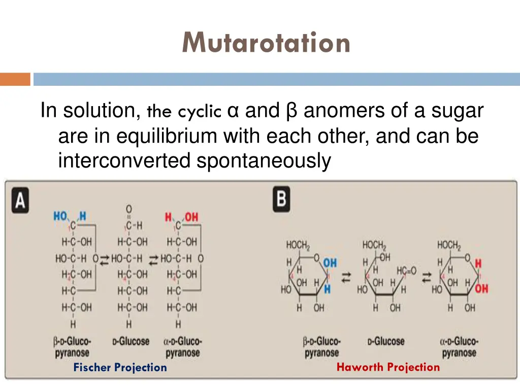 mutarotation