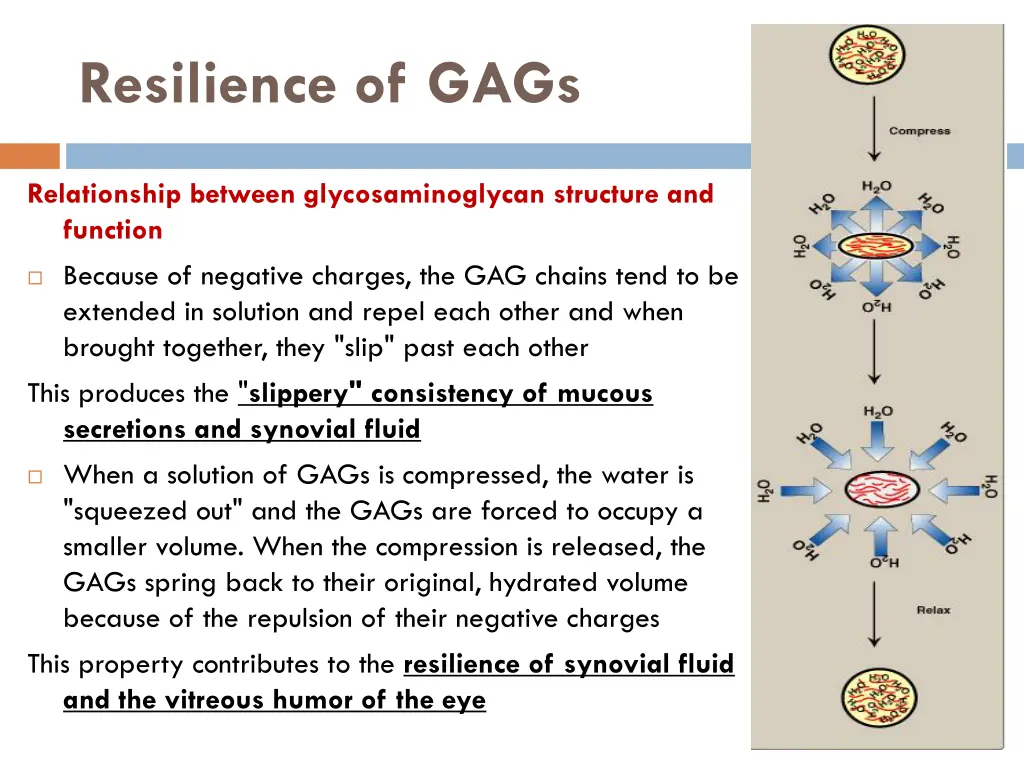 resilience of gags