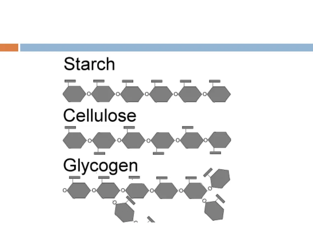 slide11