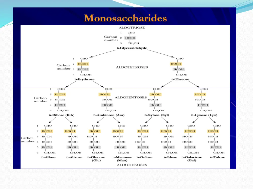 slide17