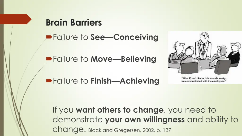 brain barriers