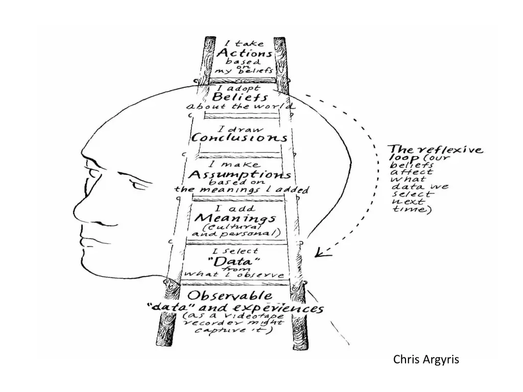 chris argyris