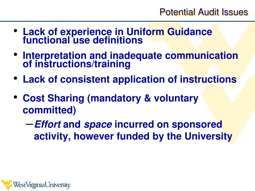 potential audit issues