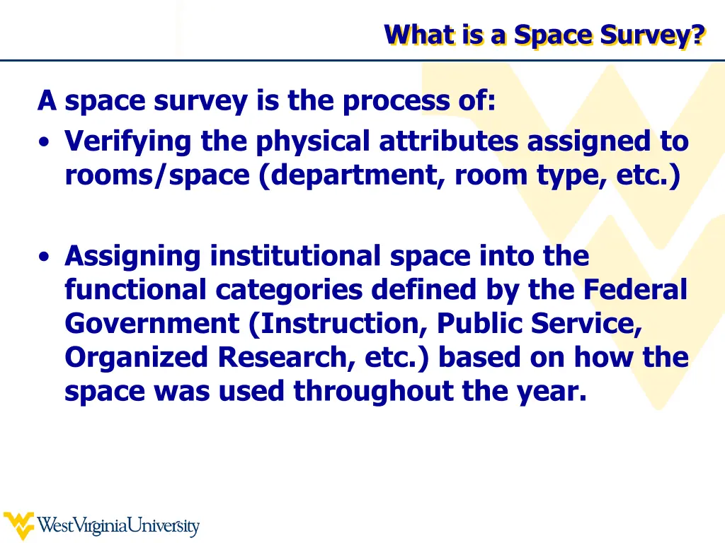 what is a space survey