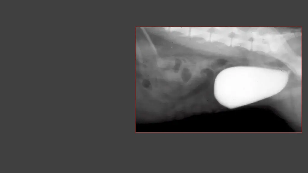 slide21