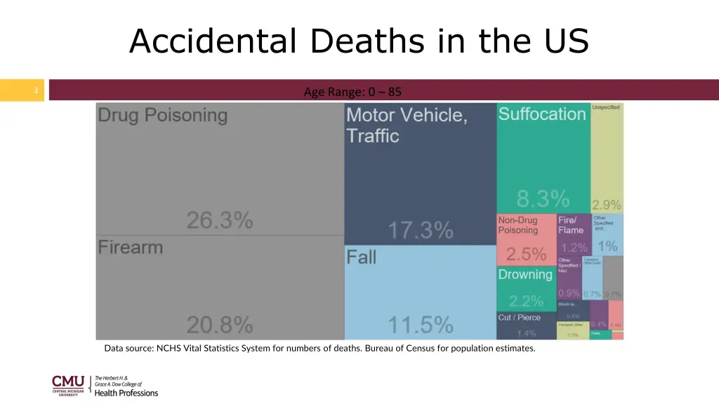 accidental deaths in the us