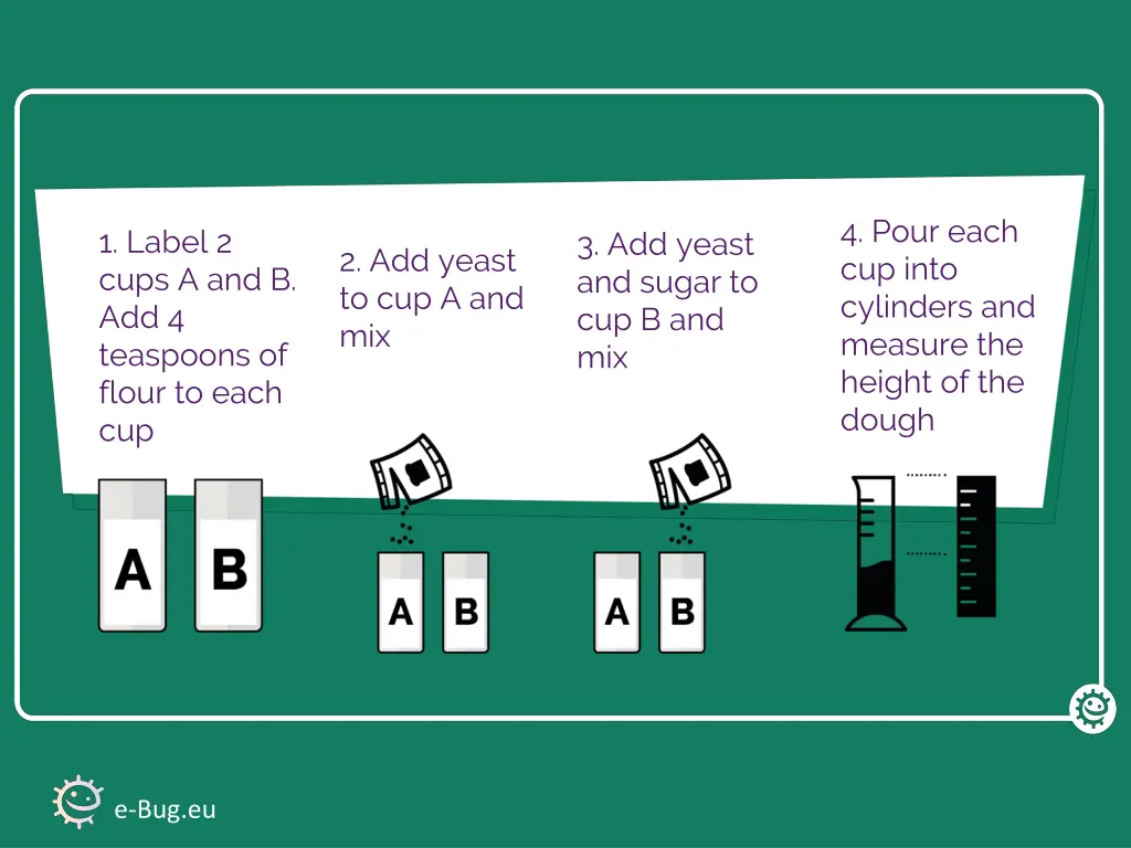4 pour each cup into cylinders and measure