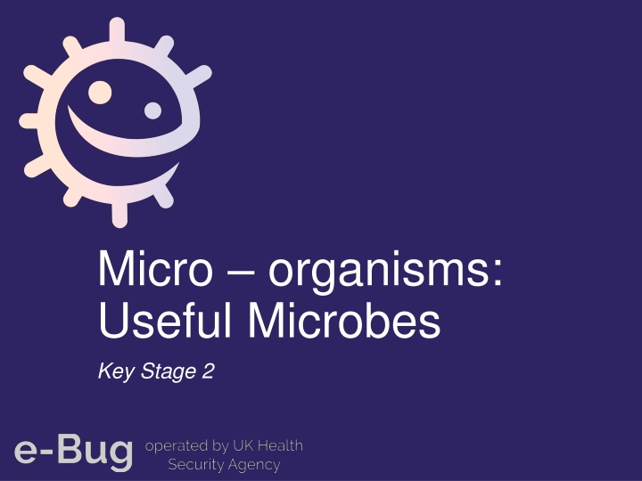 micro organisms useful microbes key stage 2