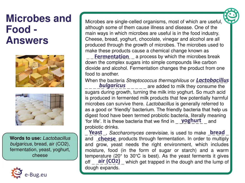 microbes and food answers