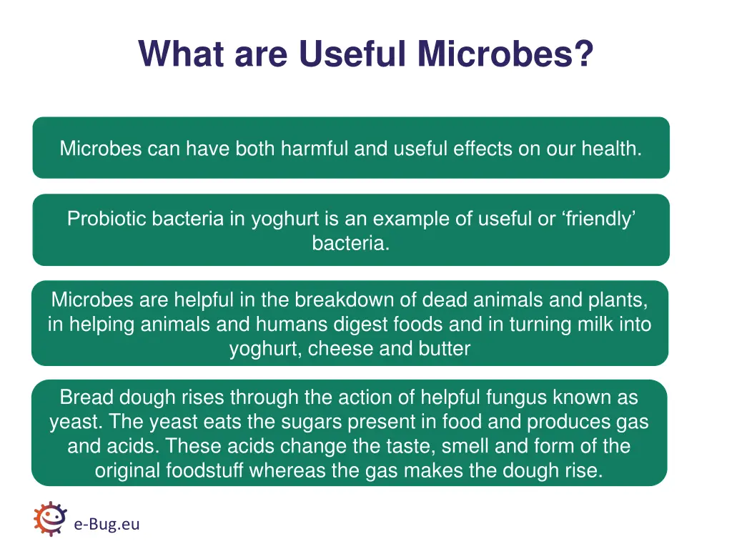 what are useful microbes