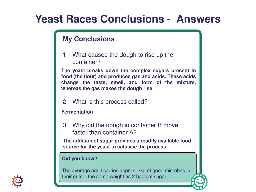 yeast races conclusions answers