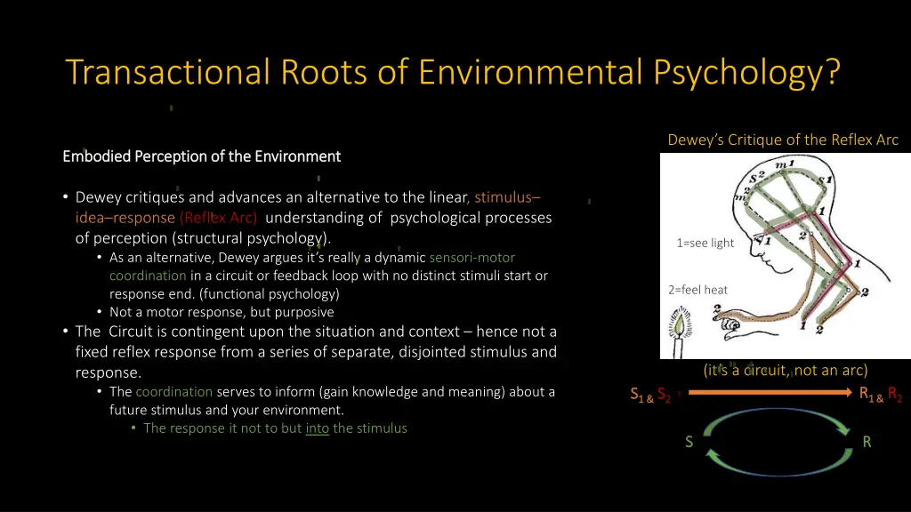 transactional roots of environmental psychology 1