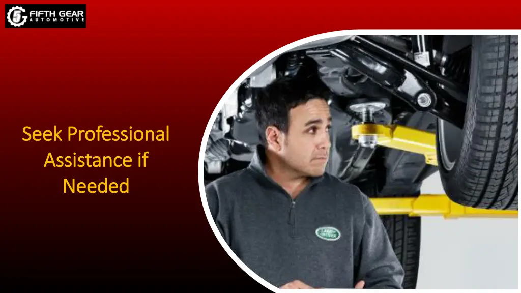 seek professional seek professional assistance