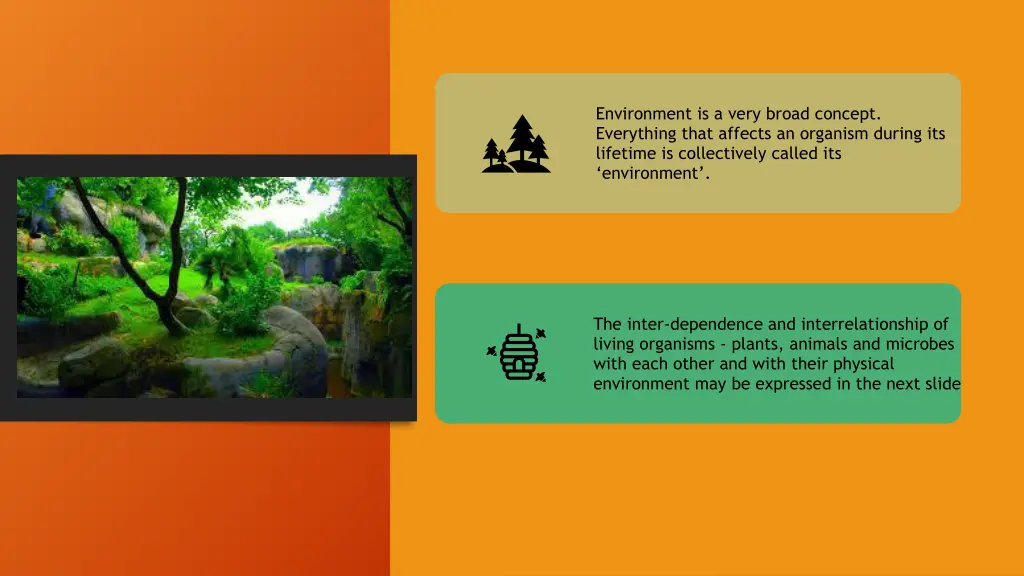 environment is a very broad concept everything